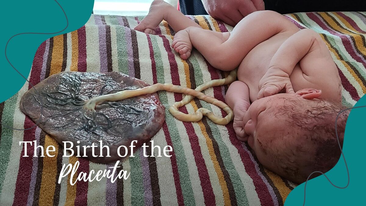 a baby with the placenta 